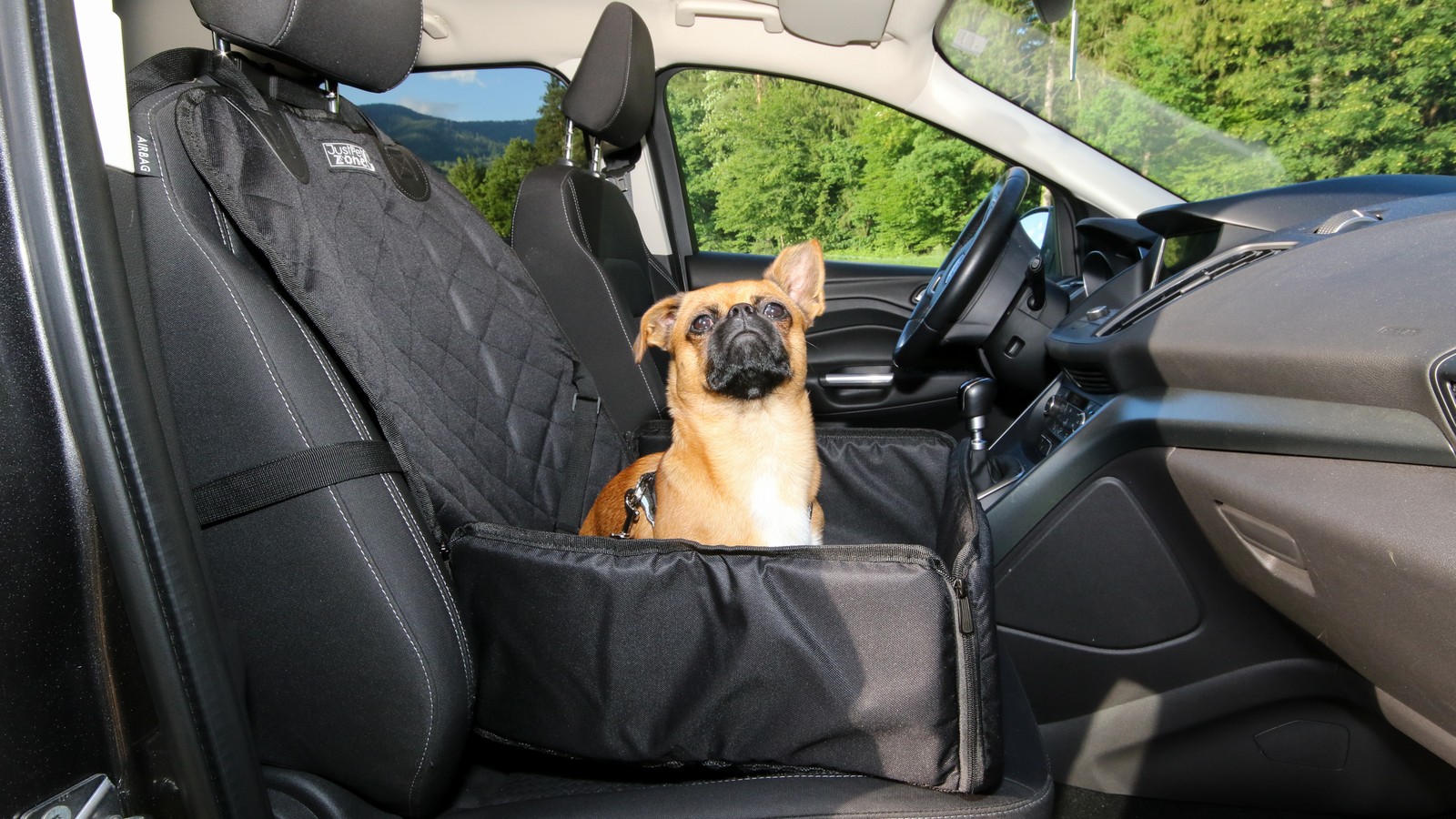 Car Pet Hair Extraction Tools: Removing Stubborn Dog Fur